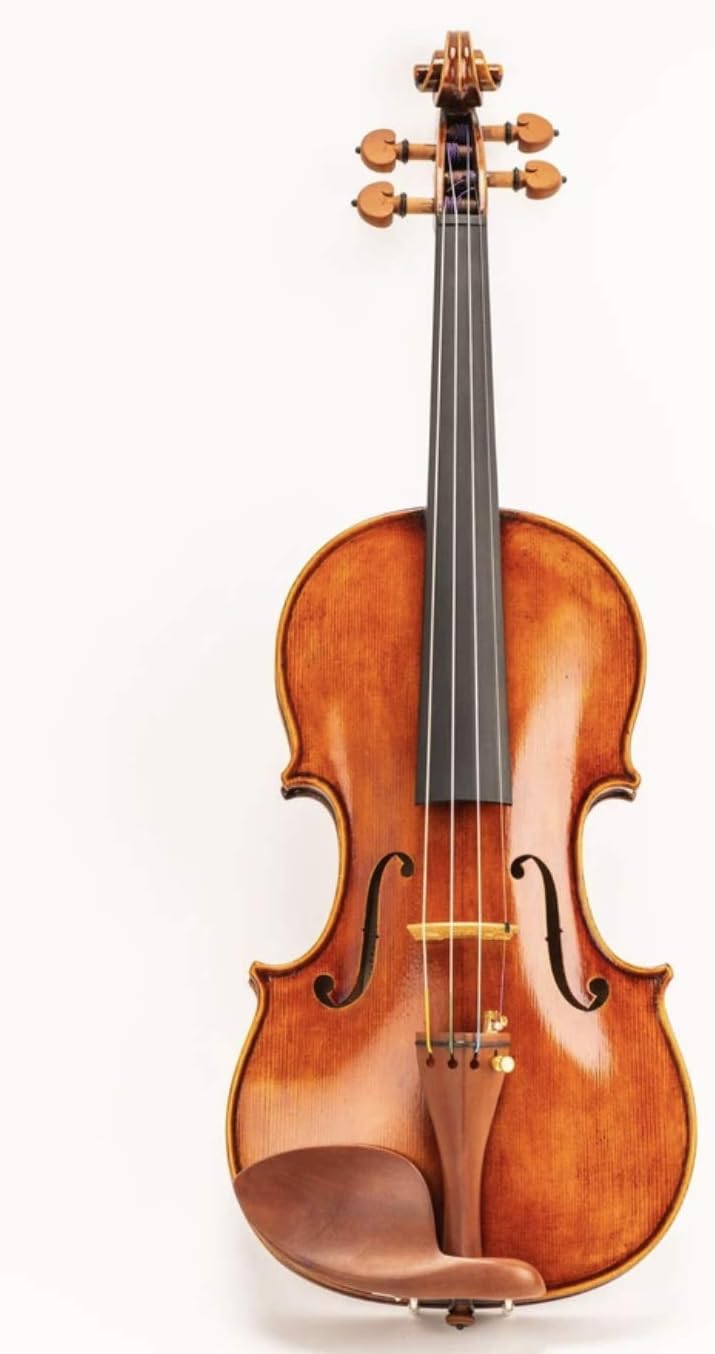 D Z Strad Violin Model 350: Perfect for Young Musicians