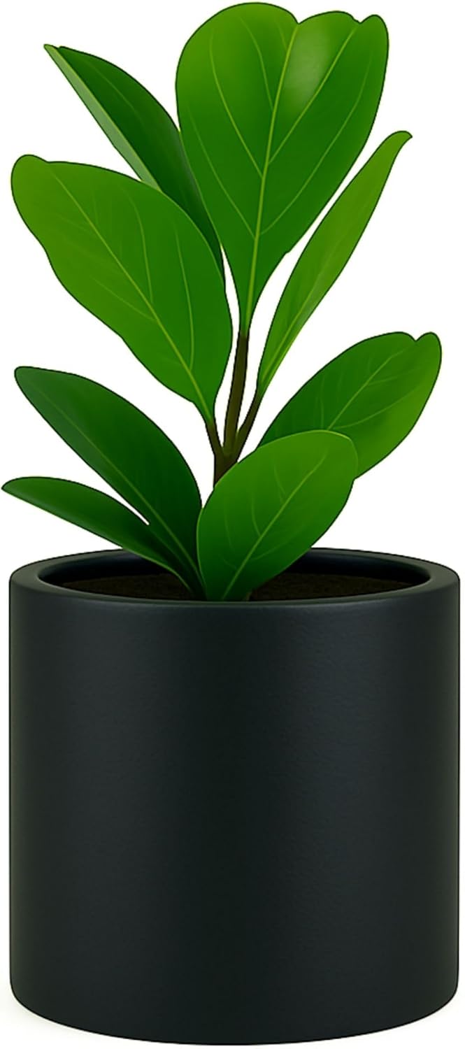 10 Inch Black Plant Pot with Drainage Plug for Indoor & Outdoor