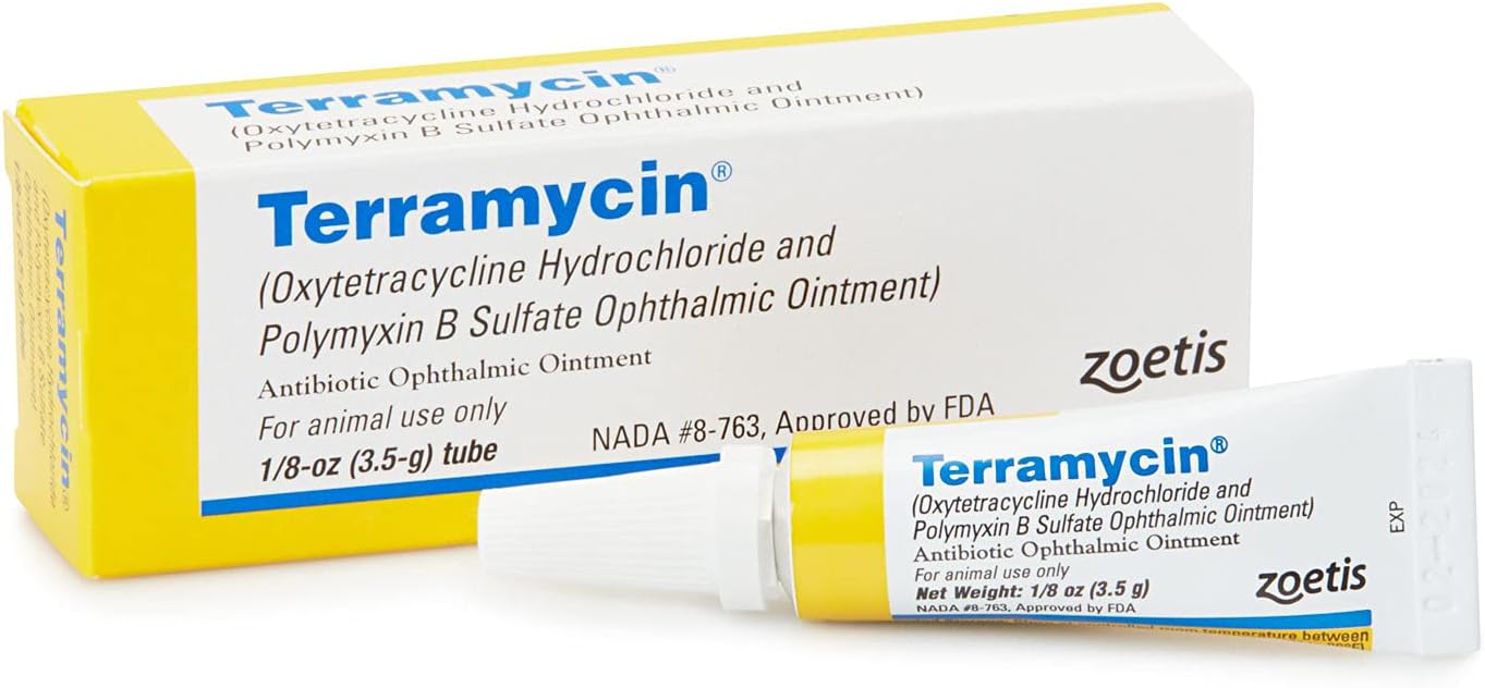 Veterinary Antibiotic Ointment for Eye Infections in Pets
