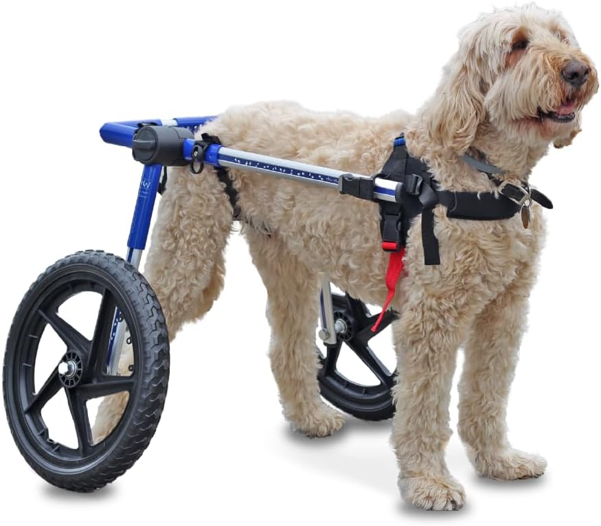 Walkin Wheels Dog Wheelchair for Med/Large Dogs 50-69 lbs