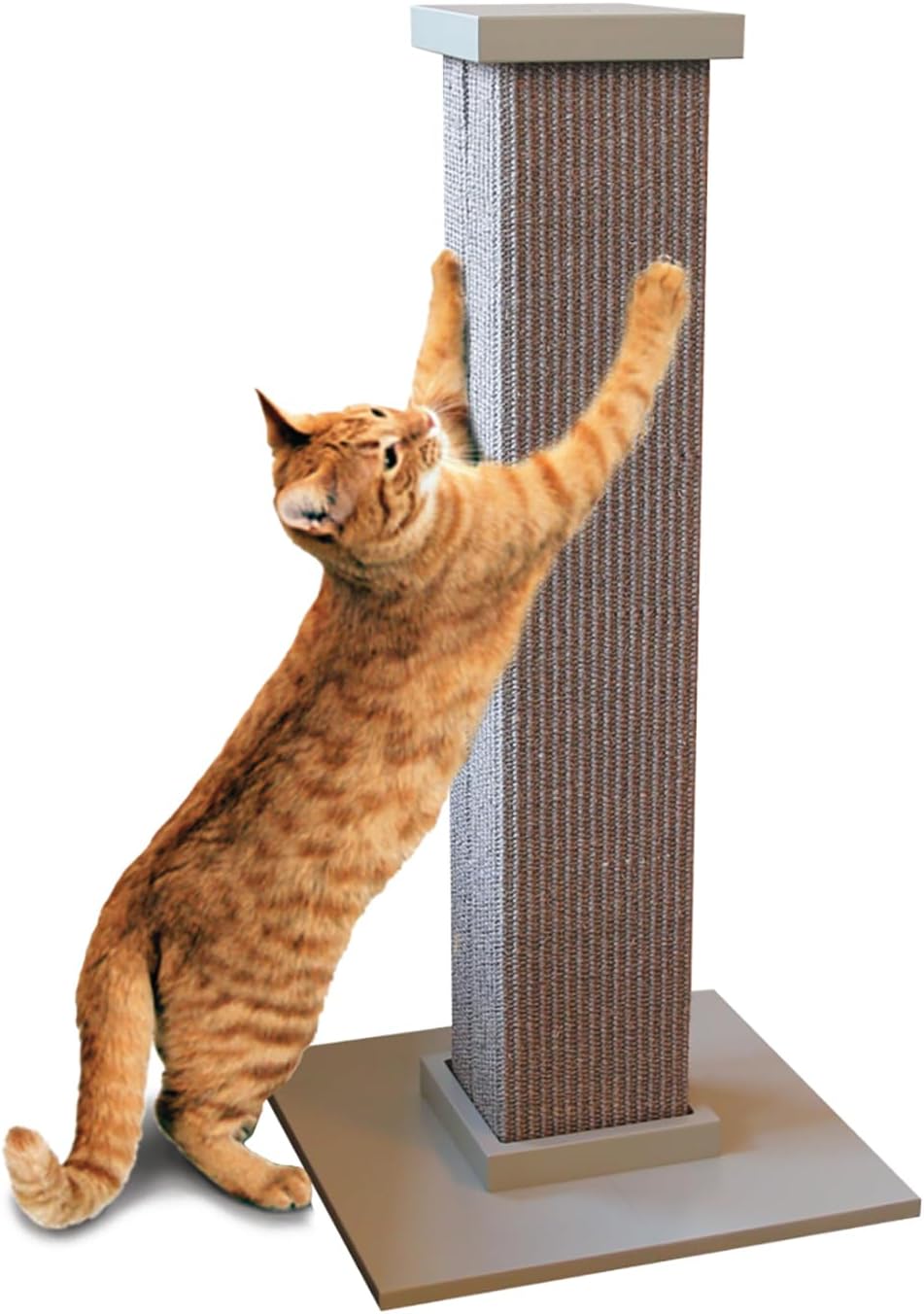 SmartCat Ultimate Scratching Post for Cats - Durable 32 Inch Tower