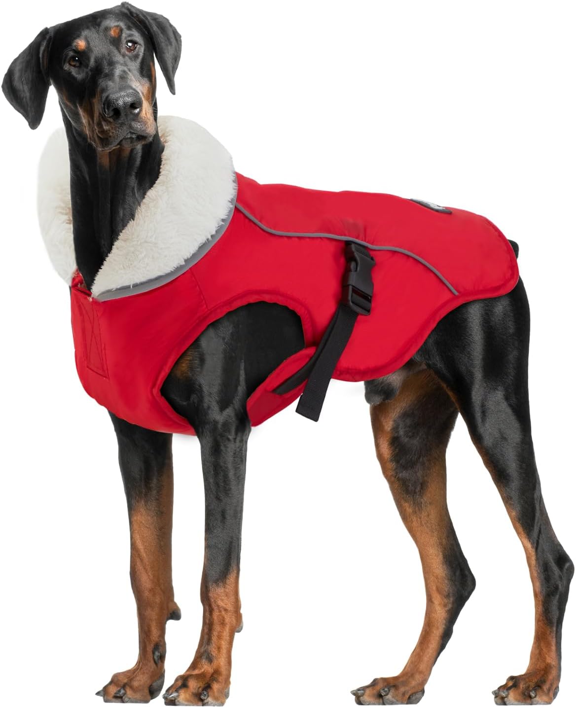 Cozy Windproof Dog Jacket for Cold Weather by EMUST - Red M