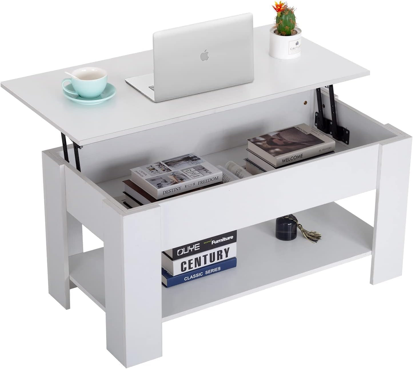 FDW 39.4 Lift Top Coffee Table with Hidden Compartment and Storage