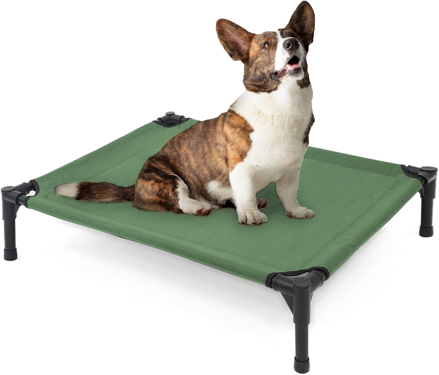 Elevated Dog Bed for Medium Dogs, Heavy Duty Supportive Design