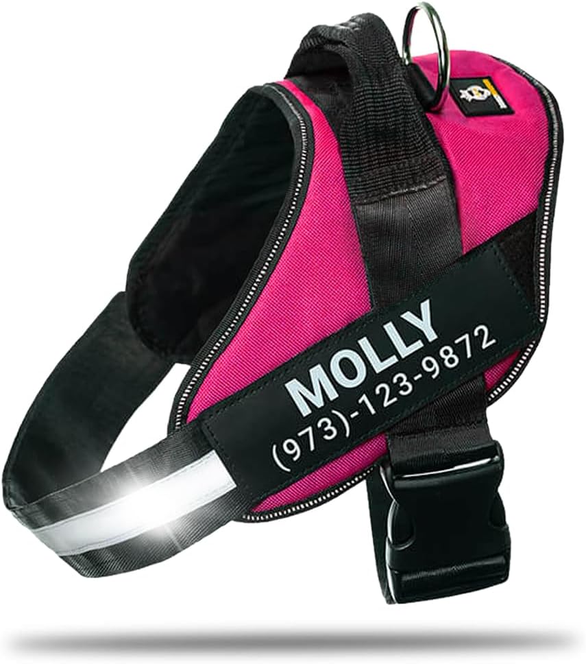 Personalized No-Pull Dog Harness for Safe and Comfortable Walks