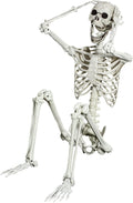 5.4ft Posable Halloween Skeleton - Life Size Movable Joint Decor