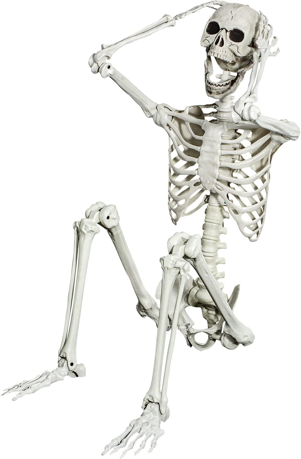 5.4ft Posable Halloween Skeleton for Spooky Decor and Parties