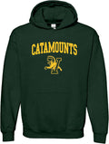 UGP Campus Apparel Unisex College Arch Logo Hoodie - Vermont Pride