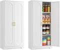60 in Tall Kitchen Pantry Cabinet with Adjustable Shelves - Metal