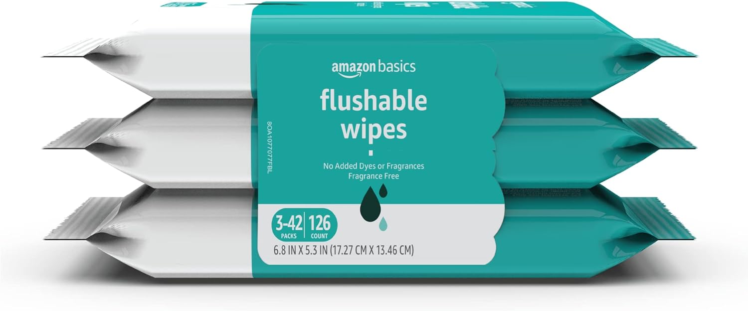 Basics Flushable Adult Toilet Wipes - 126 Wipes