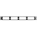 Panduit CFAPPBL1 24-Port Flat Multi-Mode Fiber Patch Panel - Rack