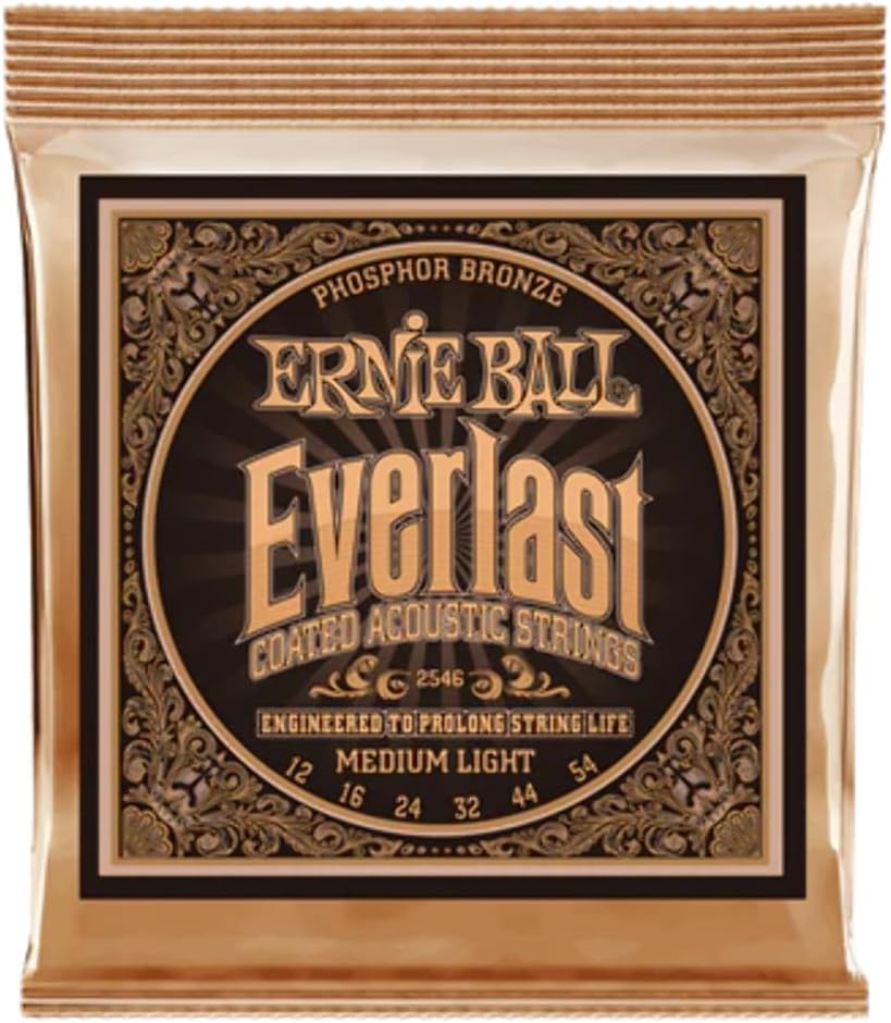 Long-Lasting Tone: Ernie Ball Acoustic Guitar Strings - 12-54 Gauge