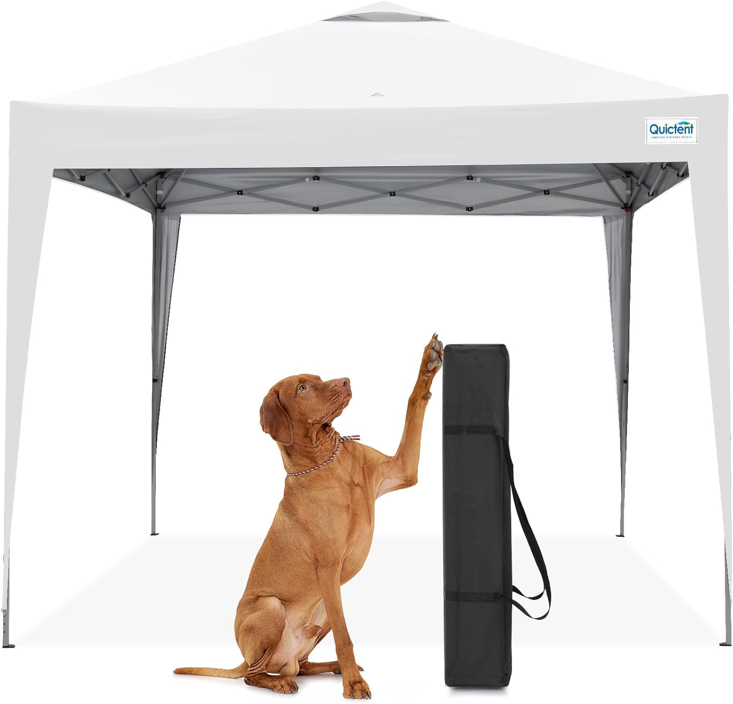 Quictent 10x10 Pop Up Canopy Tent for Outdoor Events and More