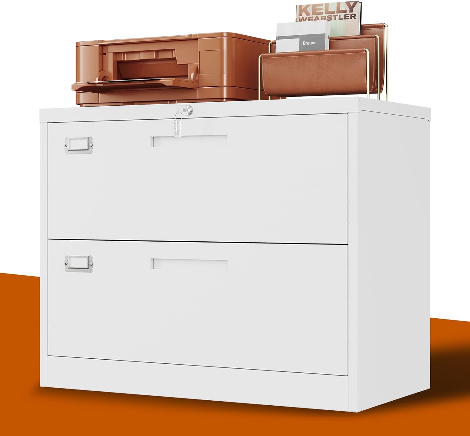 2 Drawer Lateral File Cabinet for Secure Office Storage Needs