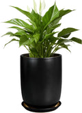 Ceramic Planter 8 Inch - Stylish Pot for Indoor and Outdoor Use