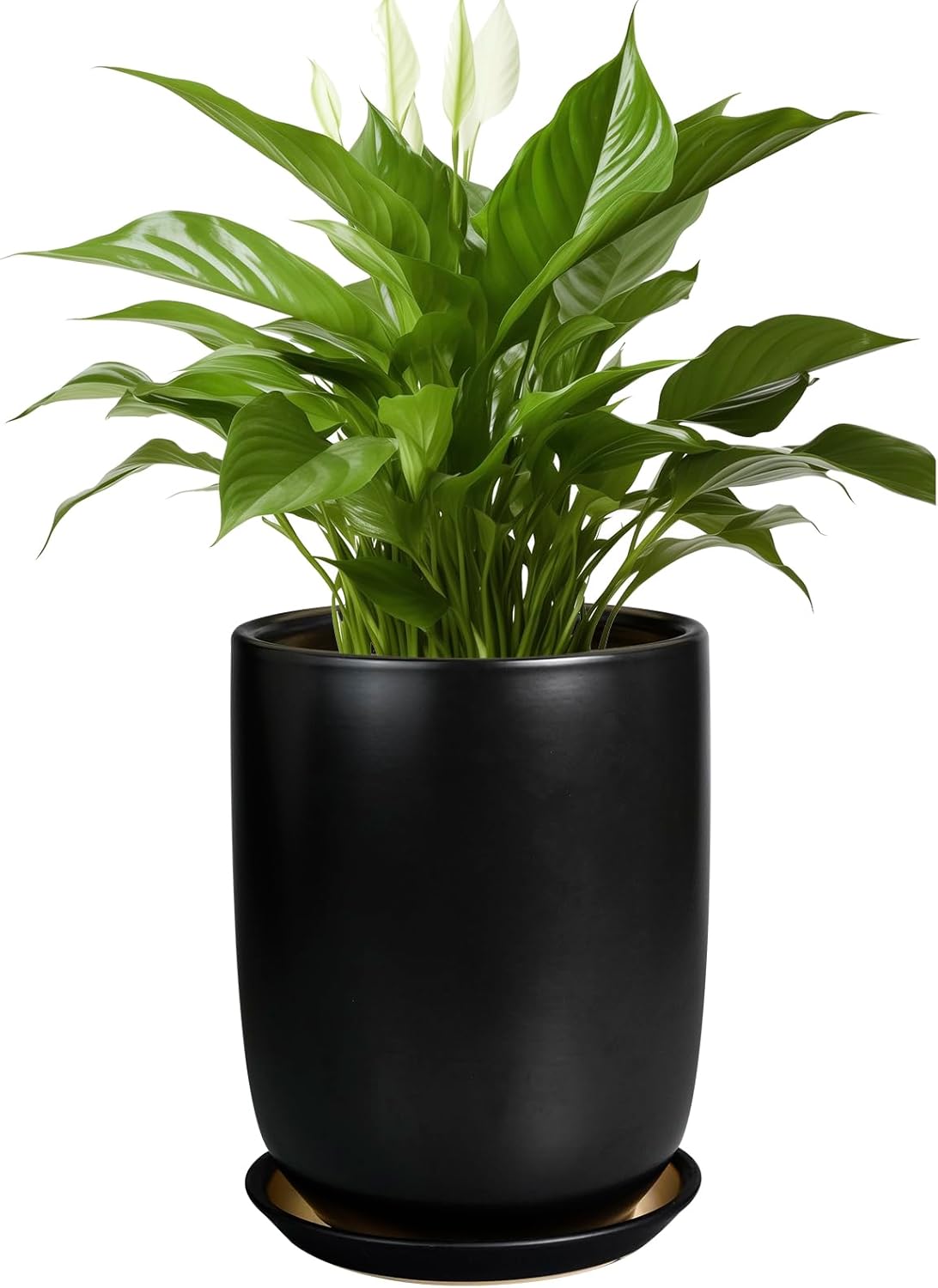 Ceramic Planter 8 Inch - Stylish Pot for Indoor and Outdoor Use