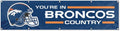 NFL 2-Foot by 8-Foot Team Banner Flag - Huge Indoor/Outdoor Display