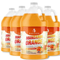 Bastion Mandarin Orange Antibacterial Foaming Hand Soap Refill - Bulk