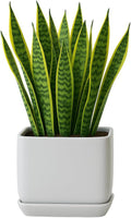 Ceramic Cube Plant Pot with Drainage and Saucer - Matte White 7.0 in