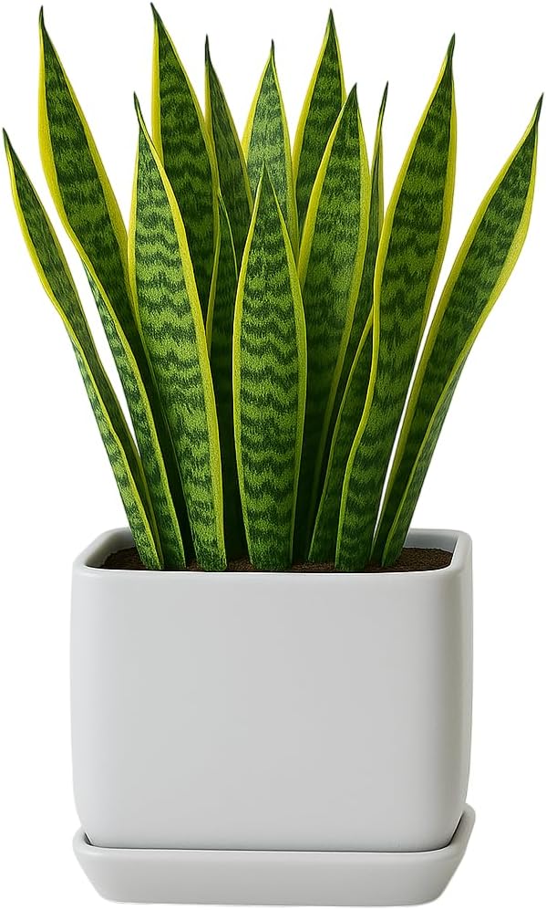 Ceramic Cube Plant Pot with Drainage for Home or Office Use