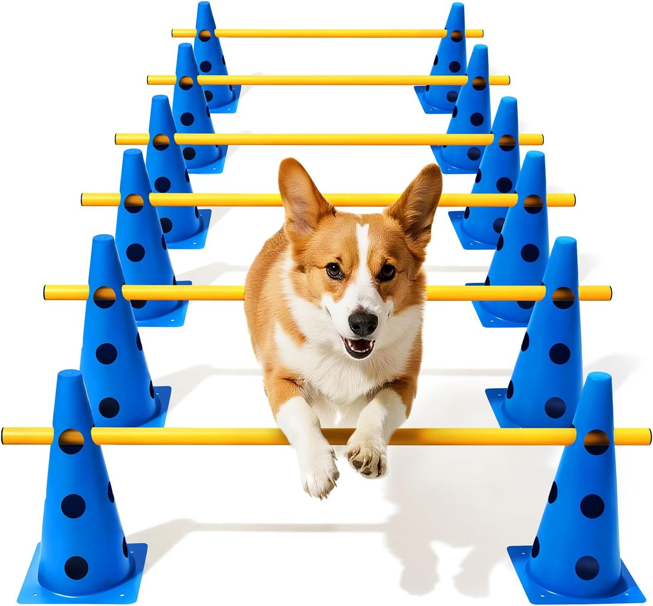 Dog Agility Course Backyard Set for Rehabilitation & Beginners