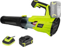 SnapFresh Cordless Leaf Blower - 550 CFM, Lightweight and Portable
