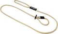 Mad Dog Products English Slip Dog Lead - 1/2 Inch x 10 Feet