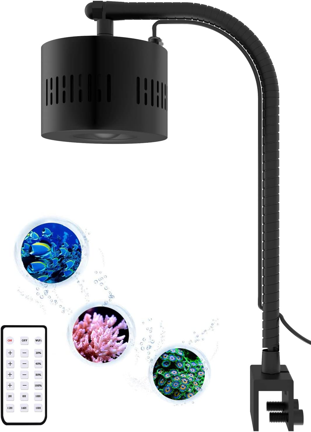Lominie Aquarium LED Light for 10 Gallon Fish Tank Setup