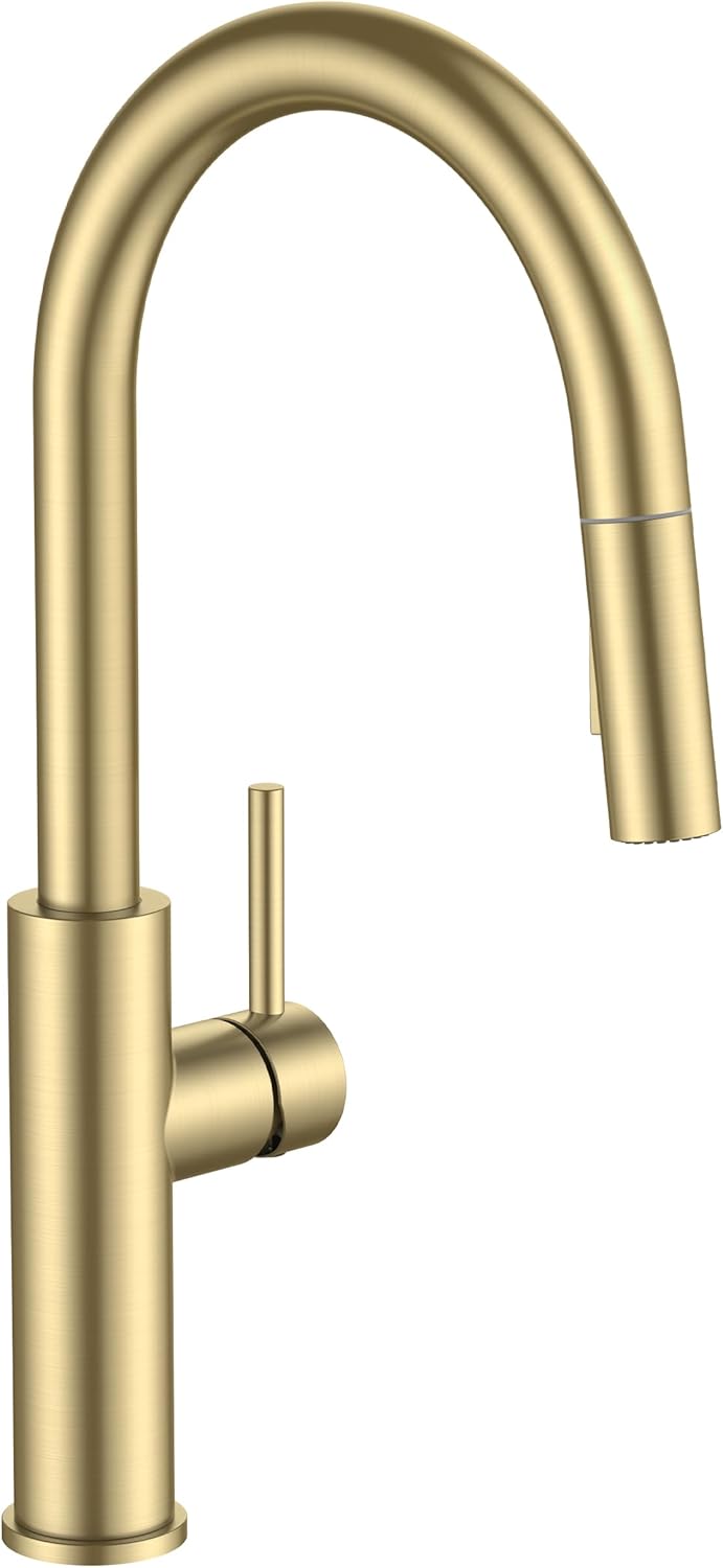 FORIOUS Kitchen Faucet with Pull Down Sprayer in Brushed Gold