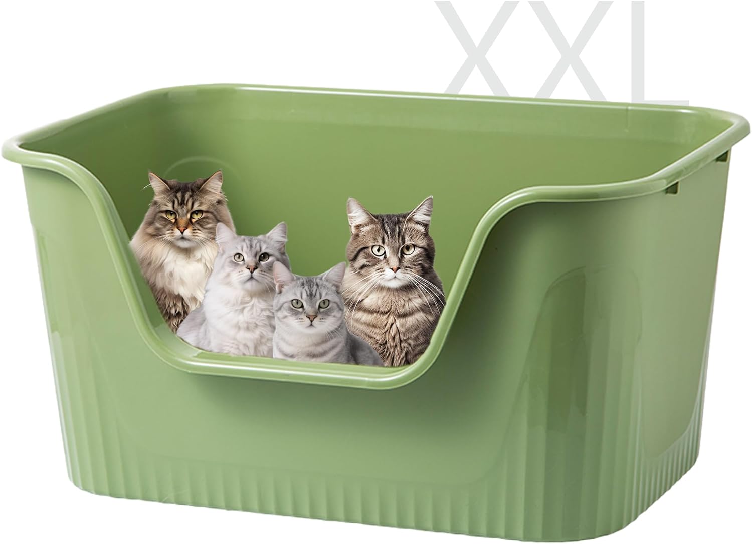 Extra Large Cat Litter Box for Big Cats or Multiple Cats
