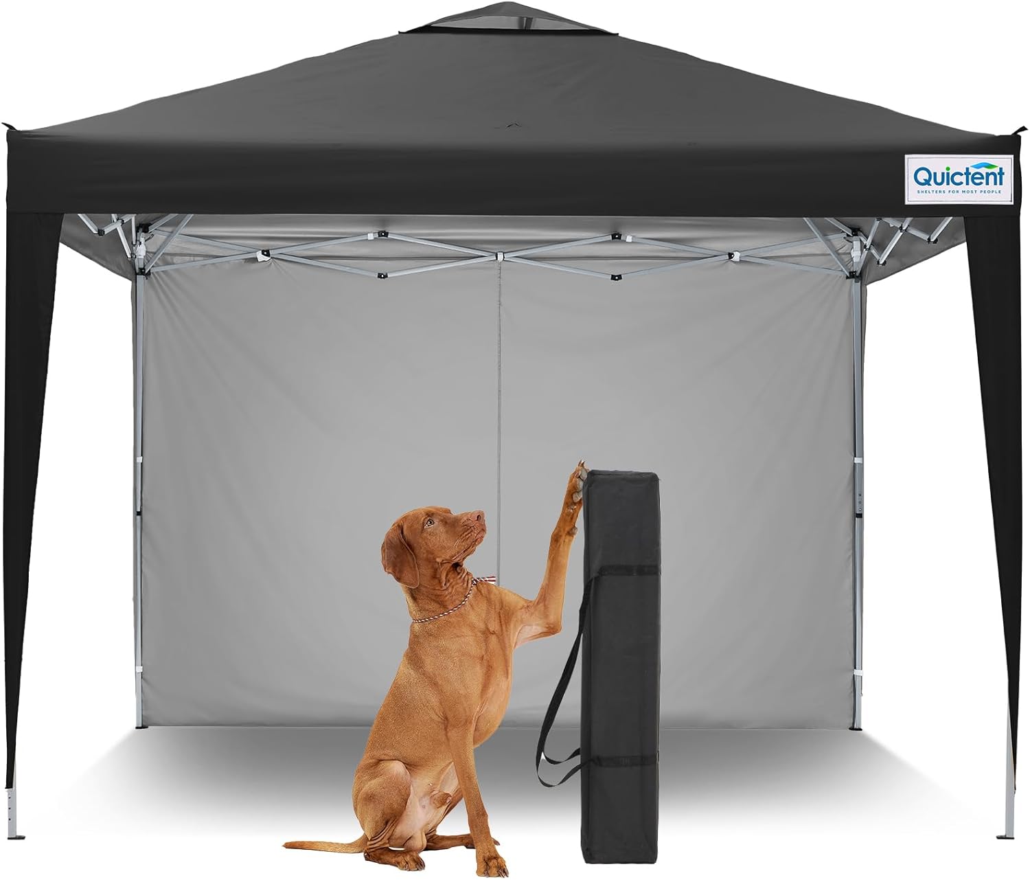 Quictent 10x10 Pop Up Canopy Tent for Outdoor Events and More