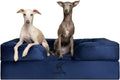 NOAH & PAW Large Dog Bed 35x25x11 in - Orthopedic Support