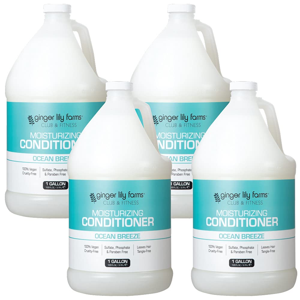 Moisturizing Conditioner for Dry Hair with Ocean Breeze Scent