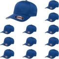 Flexfit Wooly Combed Premium 6-Panel Structured Baseball (Style MRLG)