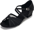 Low Heel Ballroom Dance Shoes Women Latin Salsa Practice 1.5in Heel No