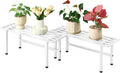 Metal Plant Stand 2 Pack 1 Tier Plant Shelf - Heavy Duty Display