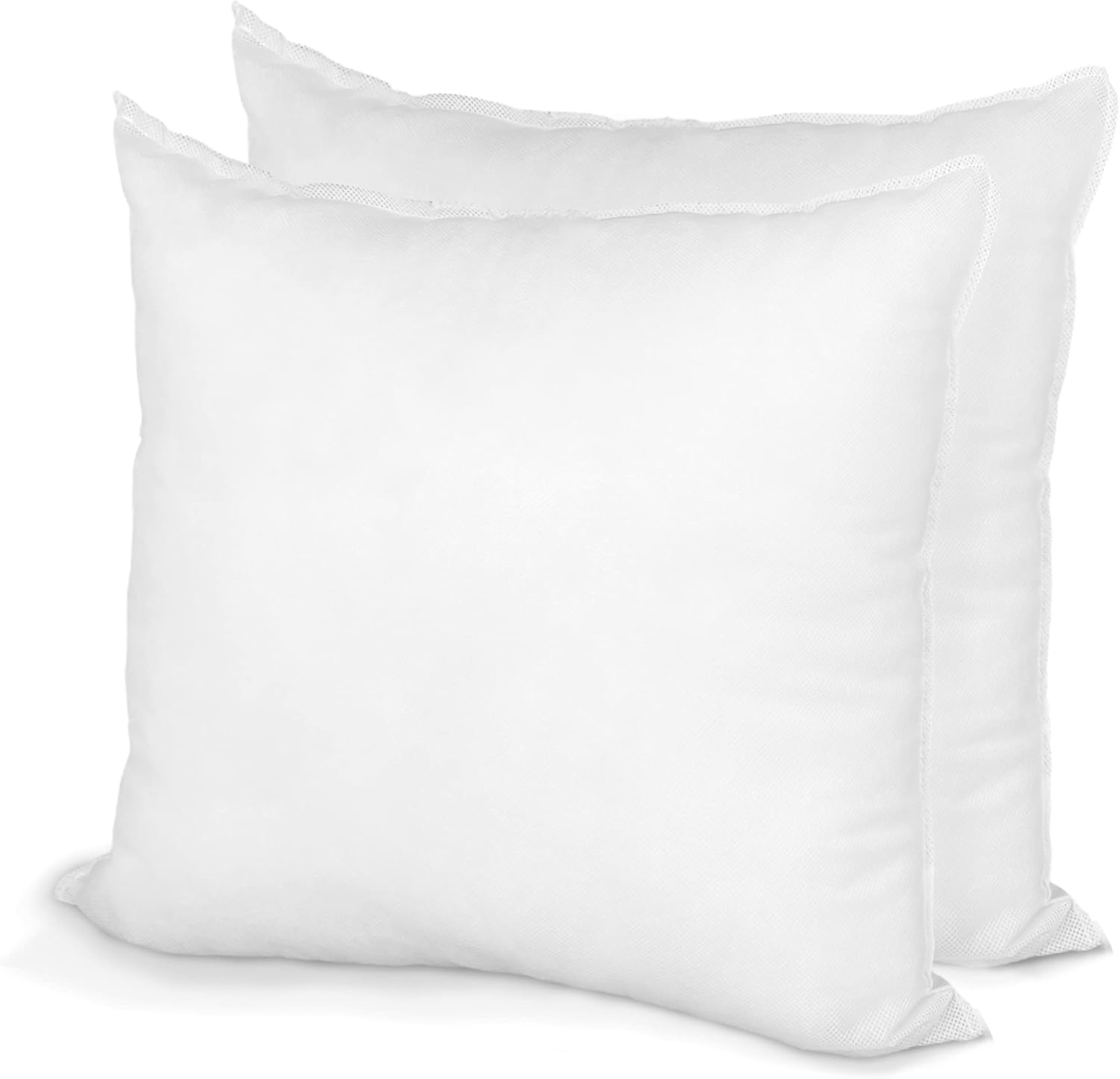 Hometex Throw Pillow Insert 30in x 30in Polyester Filled (2 Pack)