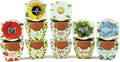Buzzy Seeds Terracotta Mini Grow Pots Daydream Collection - Starter