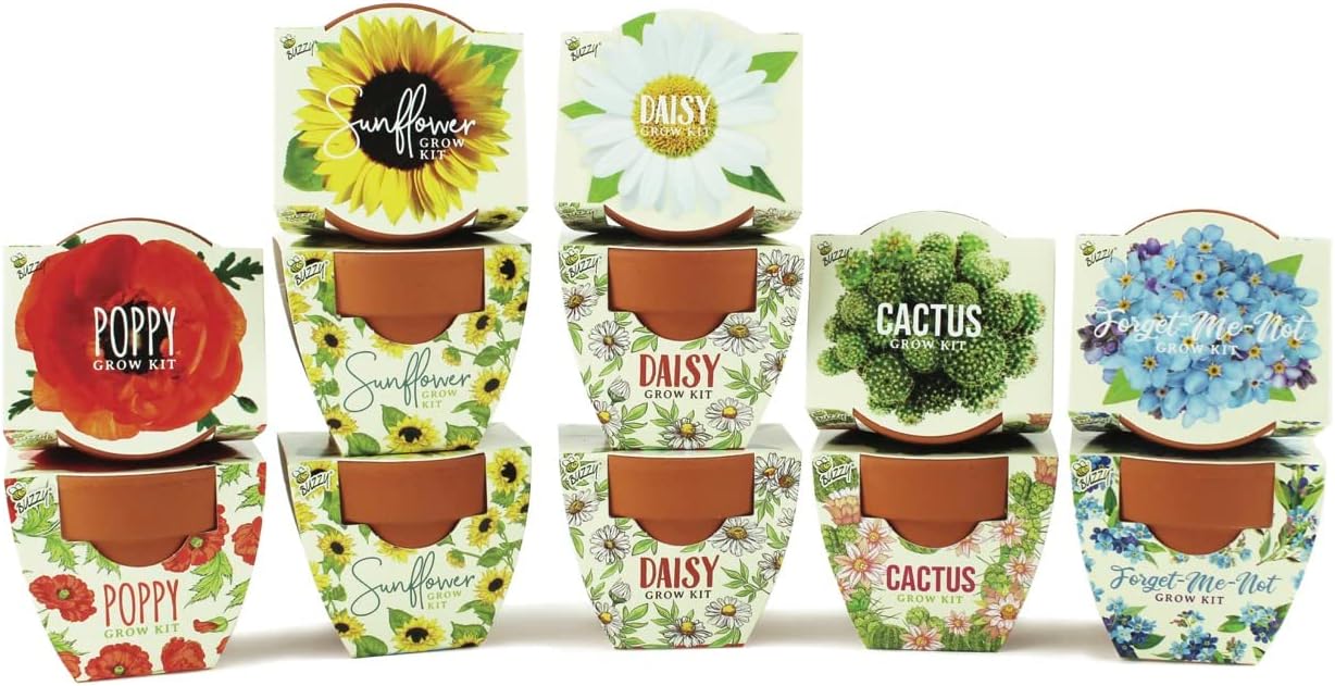 Buzzy Seeds Terracotta Mini Grow Pots for Indoor-Outdoor Fun
