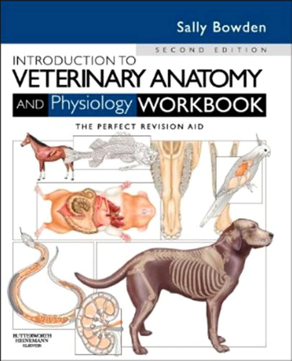Introduction to Veterinary Anatomy and Physiology Workbook Review