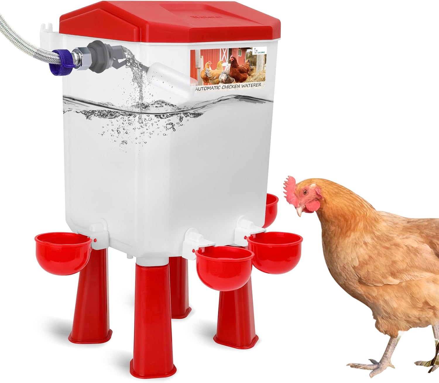 Lilyang Float-Controlled Automatic Chicken Waterer for Fresh Water
