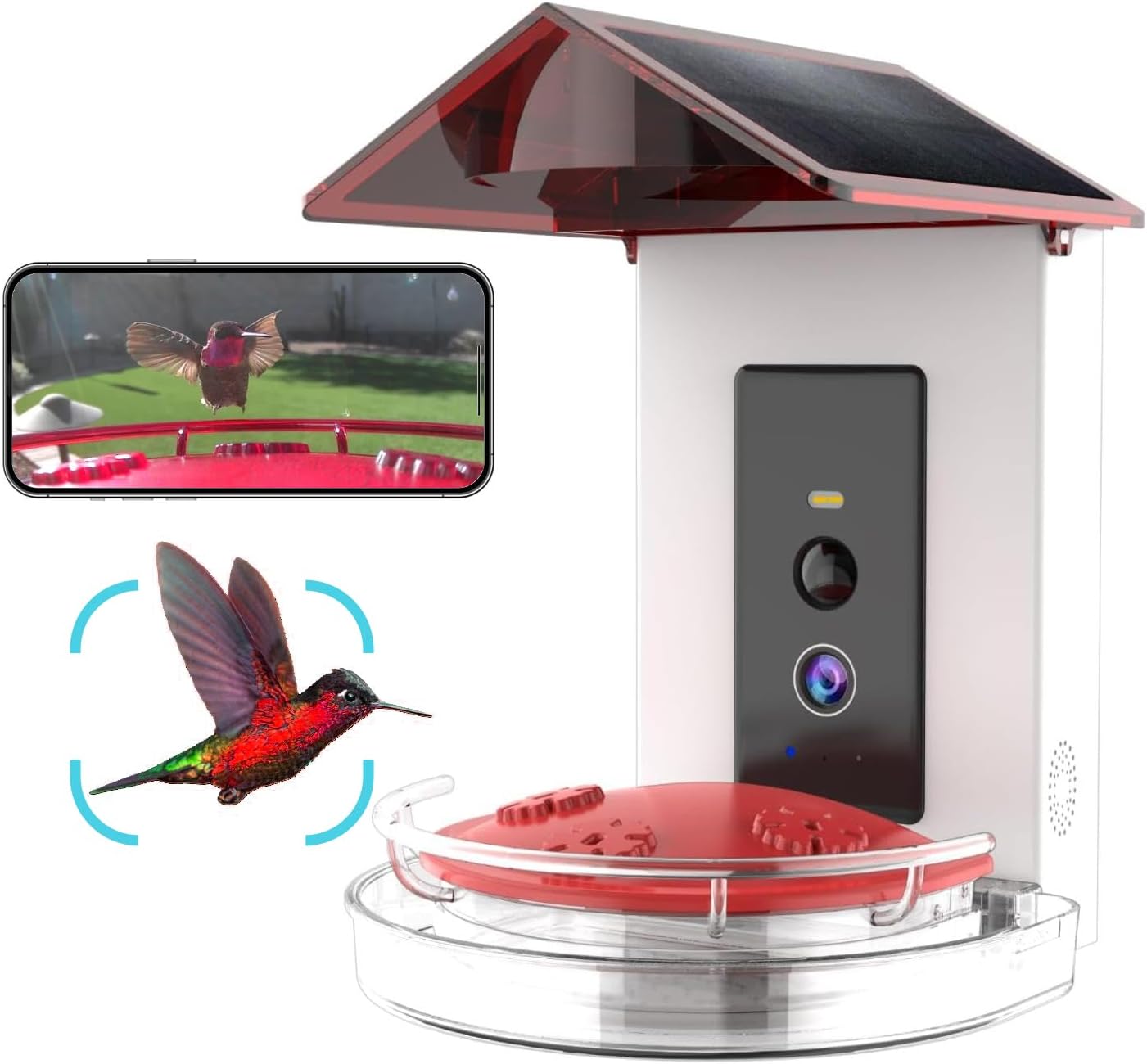 Smart Solar Hummingbird Feeder with 1080P Camera