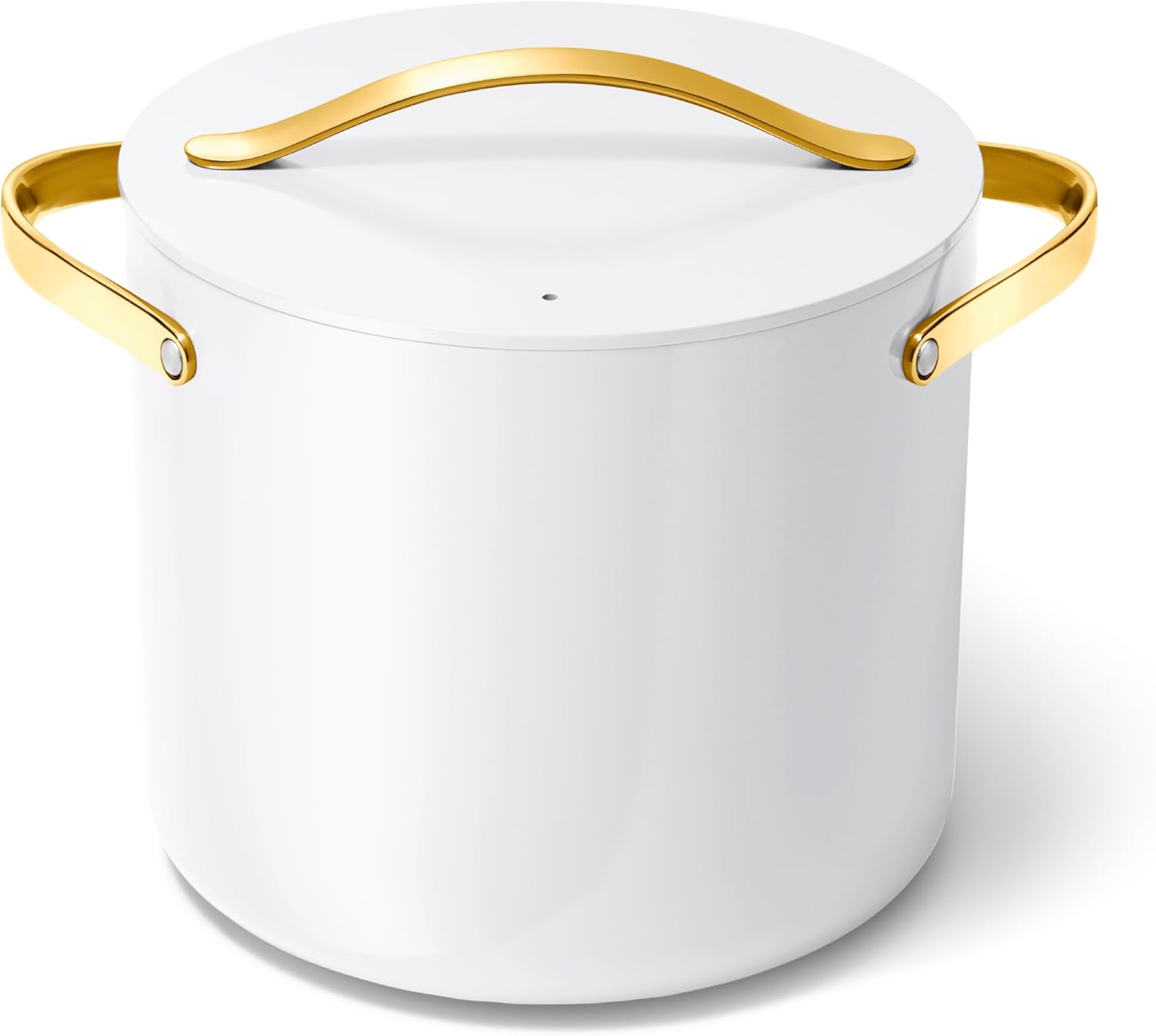 Caraway Stock Pot 12 Qt Ceramic Coated Pot for Big Batches