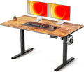 FEZIBO Standing Desk 55-28 in Electric Height Adjustable - Sit Stand