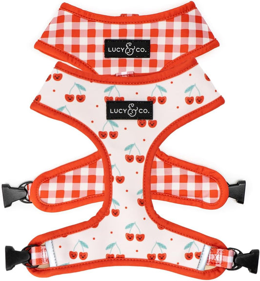 Cute Reversible Dog Harness for All Breeds - Padded Vest 55-60 lbs