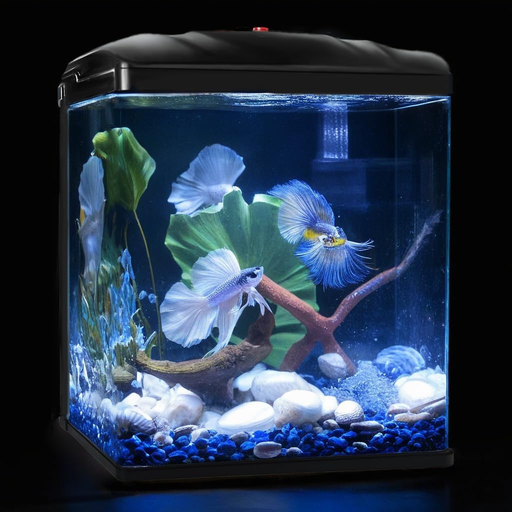 2 Gallon Betta Fish Tank Kit - Complete Setup for Stunning Desktop Decor!