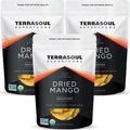Terrasoul Superfoods Organic Dried Mango Slices - 3 lb Pack