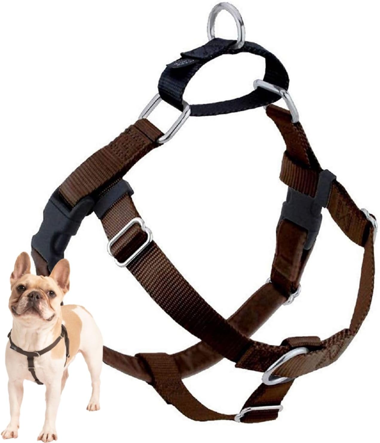 Freedom No Pull Dog Harness for Easy Walking and Control