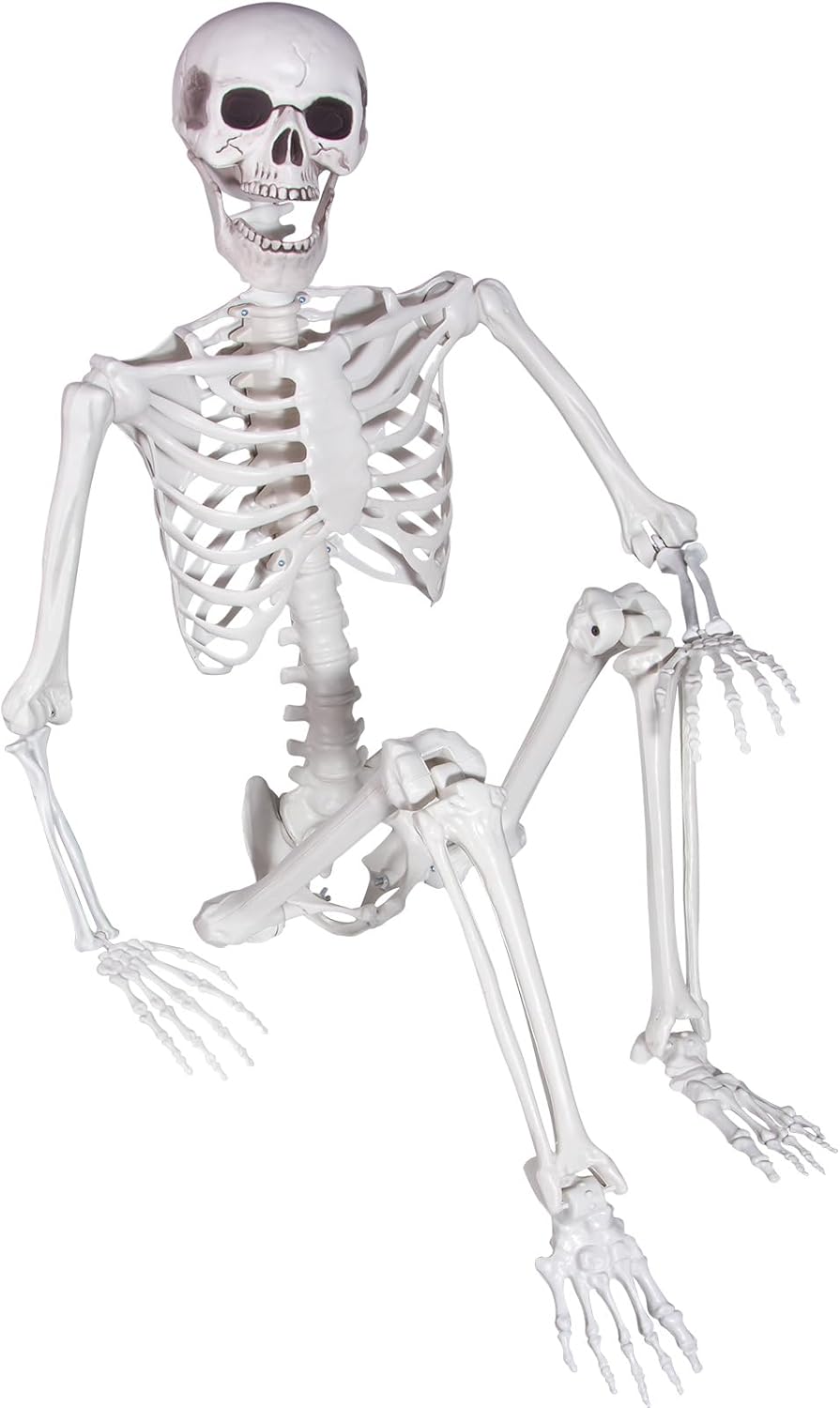 5.4ft Posable Halloween Skeleton for Spooky Decor and Fun