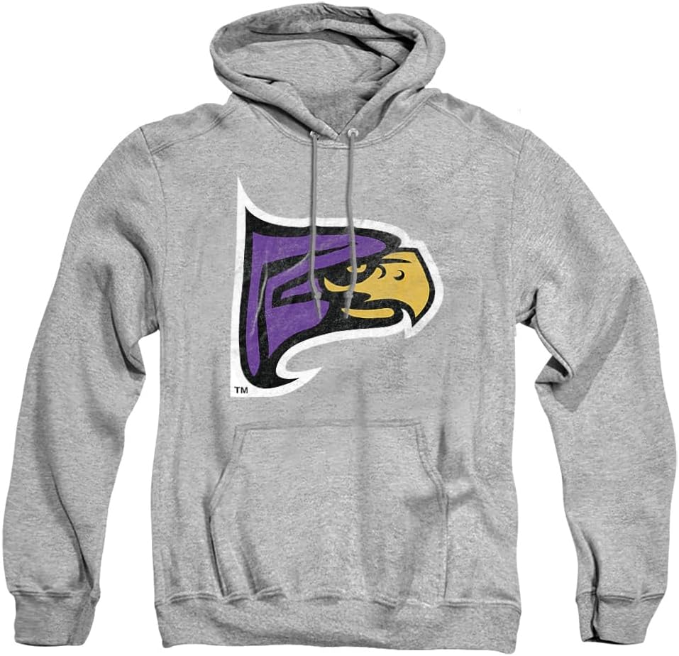 Official Collegiate Distressed Logo Hoodie for Everyday Wear